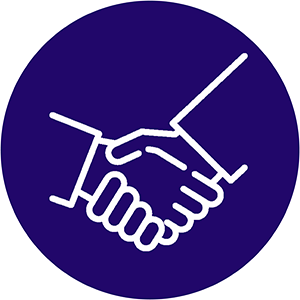 icon representing professional